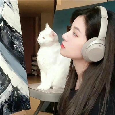 探员卡特