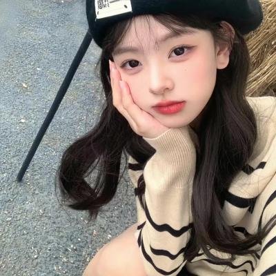 狮子护卫队第二季